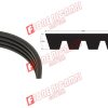 36200038 CINGHIA BCS